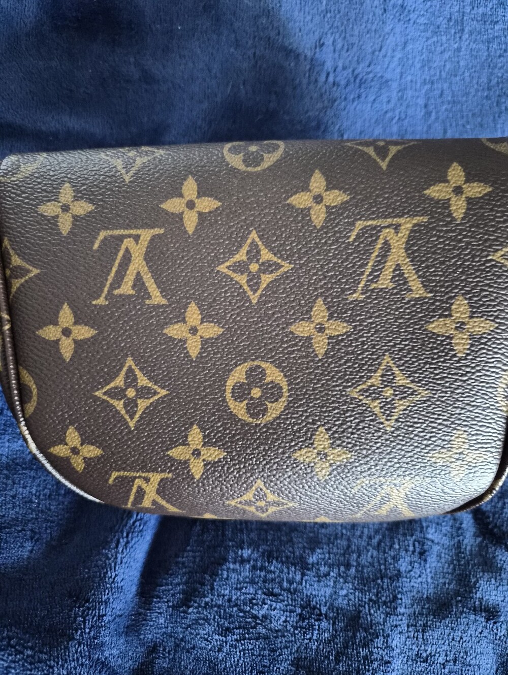 Louis Vuitton Monogram Canvas Mini Bum Belt Bag - Picture 4 of 16